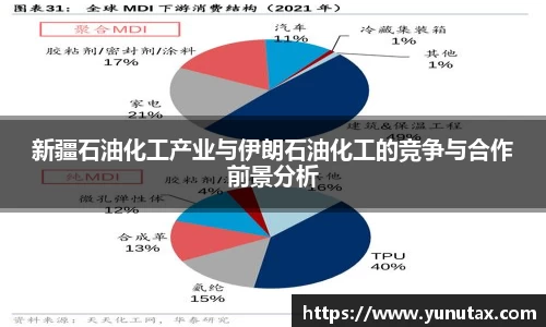 新疆石油化工产业与伊朗石油化工的竞争与合作前景分析